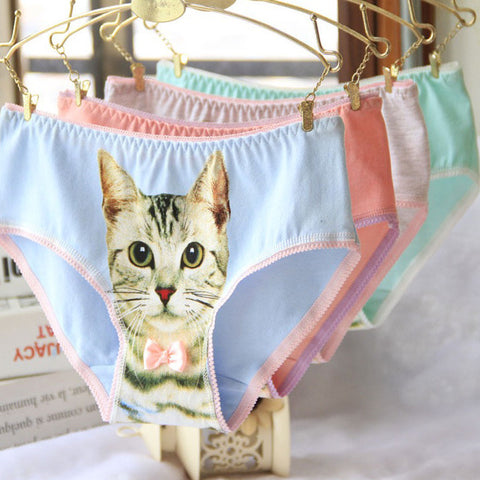 Spiffy Kitty Skivies