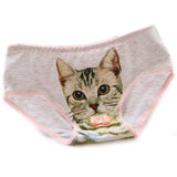 Spiffy Kitty Skivies